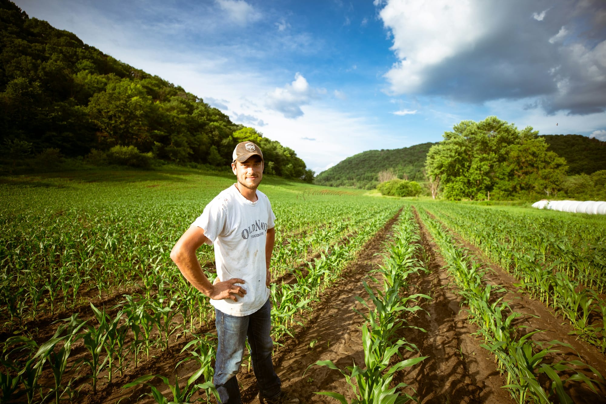 A farmer standing in his young corn field, hands on hips, smiling at the camera